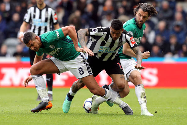 佩的言論密 佩的言論密